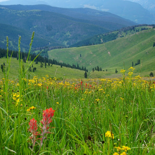 Weekends in the mountains sparks creativity!